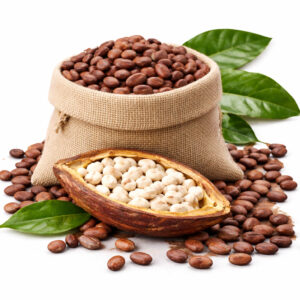 Fèves de cacao